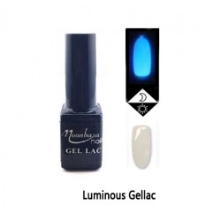 Oja semipermanenta fluorescent 5ml #648 Oja semipermanenta fluorescent 5ml #648
